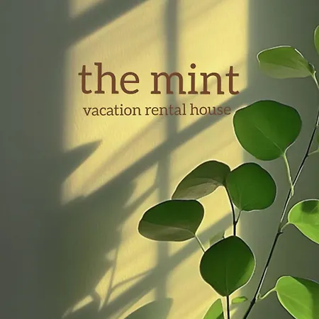 Apartman The Mint